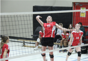 Volleyball